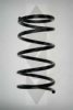 SPIDAN 49518 Coil Spring